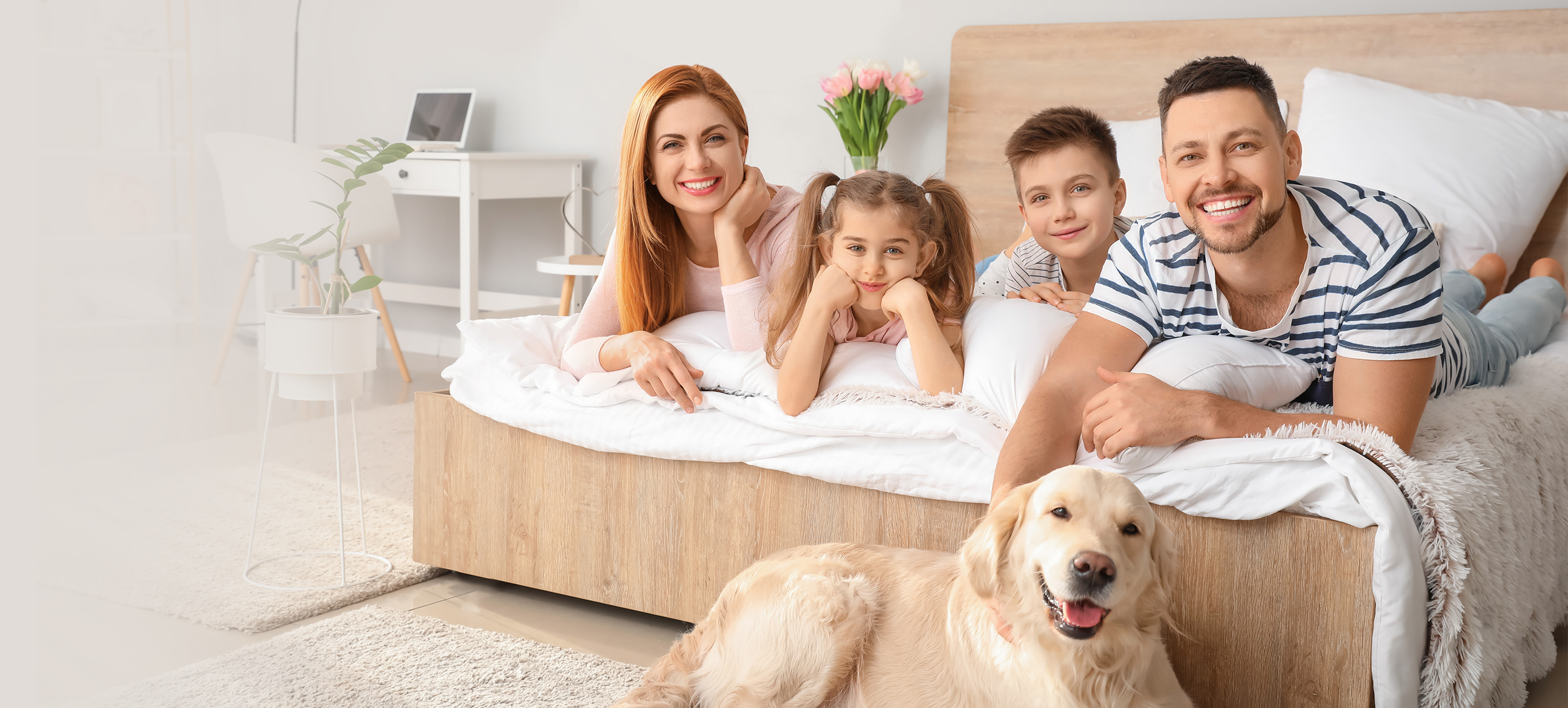 3522vip�־�����(�й�)�ɷ����޹�˾