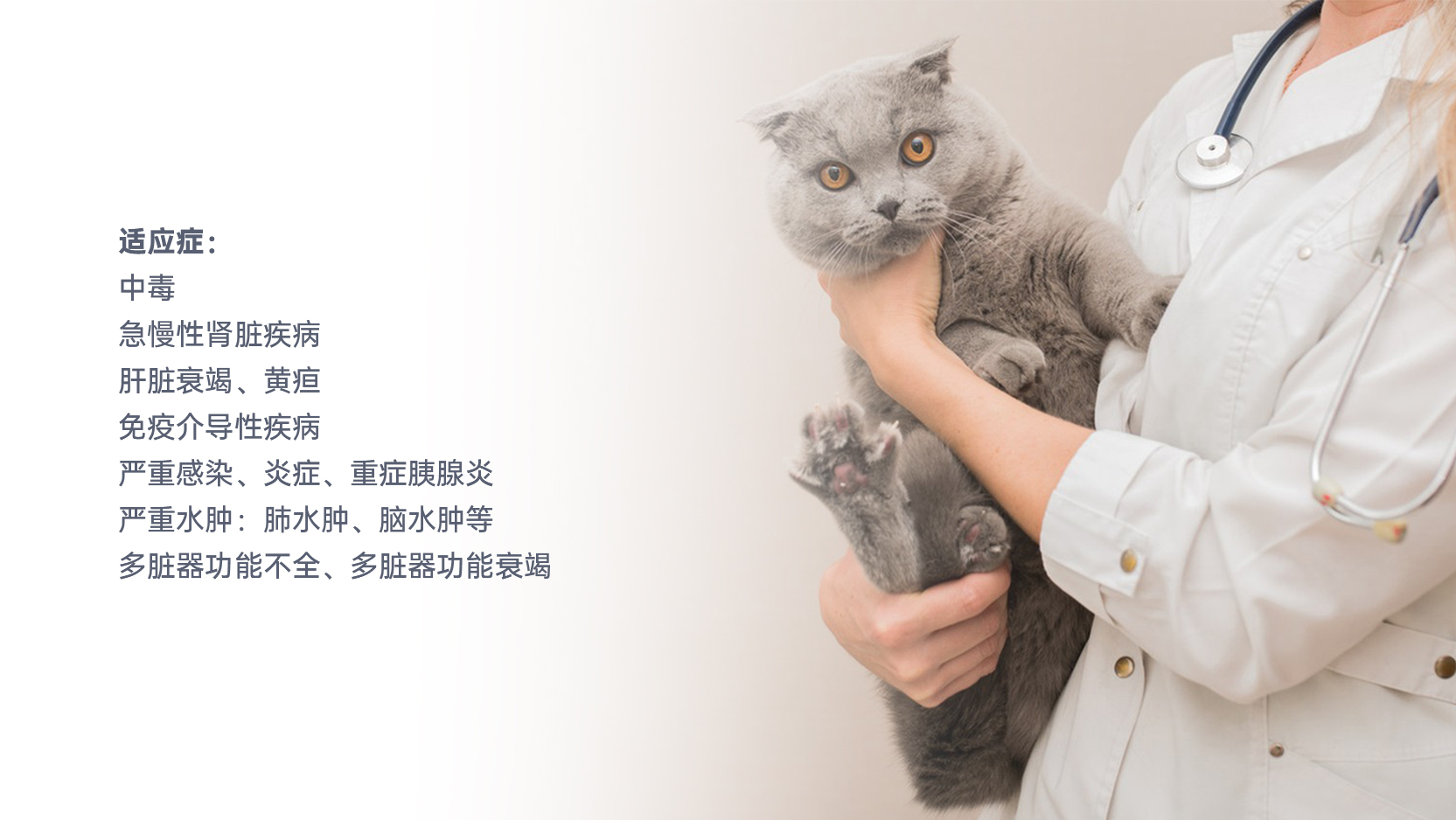 3522vip�־�����(�й�)�ɷ����޹�˾