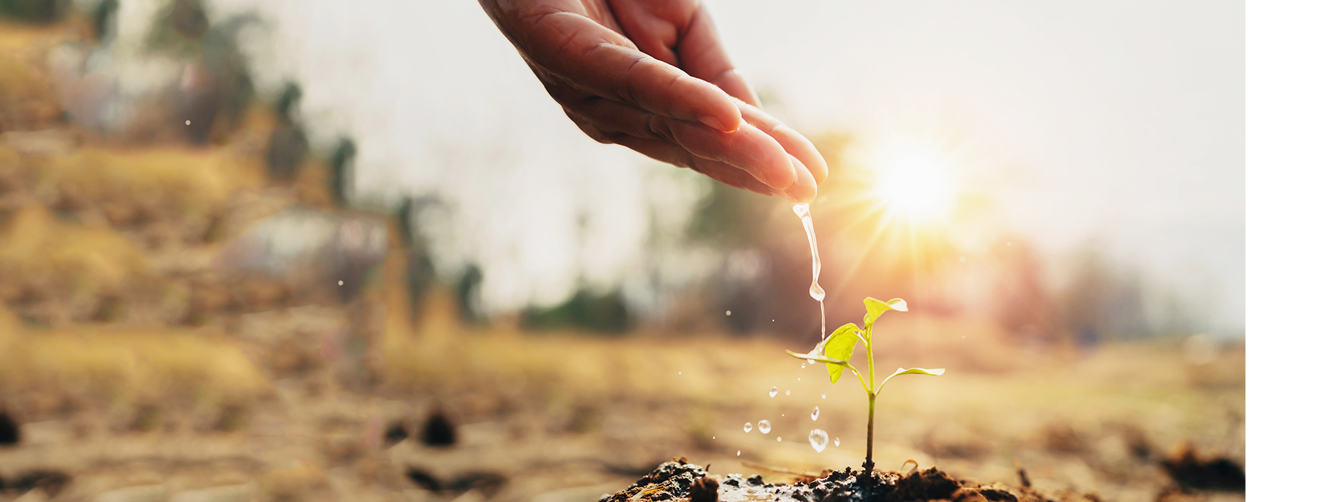 3522vip�־�����(�й�)�ɷ����޹�˾