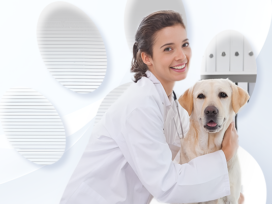 3522vip�־�����(�й�)�ɷ����޹�˾